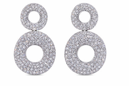 Elegant Silver Earrings