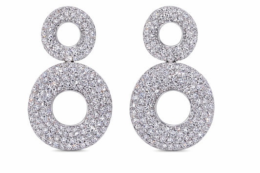 Elegant Silver Earrings
