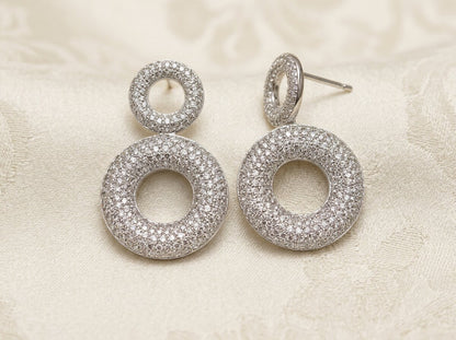 Elegant Silver Earrings