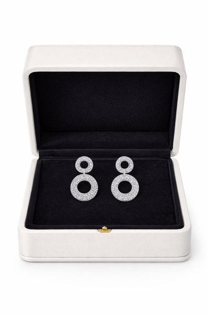 Elegant Silver Earrings