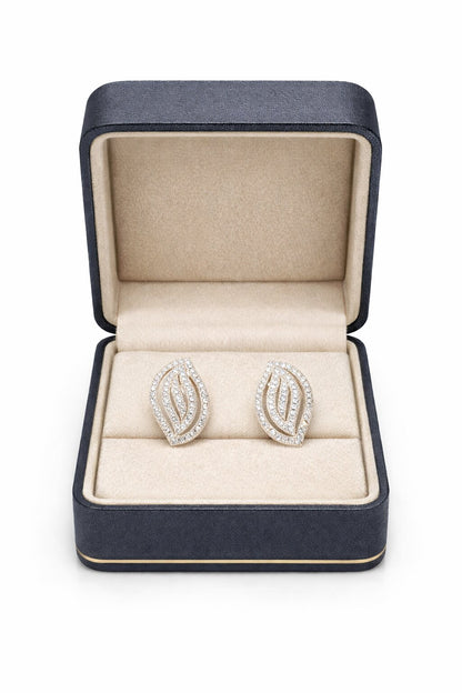 Radiant Silver Earrings